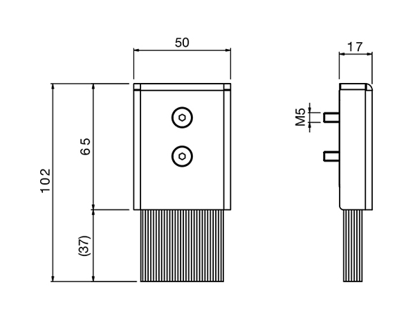 Bürsten-Set, 2 Stück, 50x102x17mm